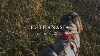 Fr. Rob Galea: Euthanasia